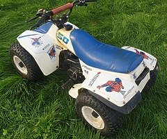Lt 50