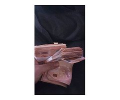 Looking for a upgrade