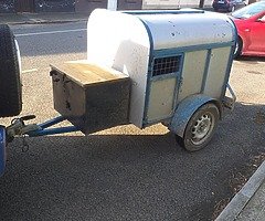 Dog trailer