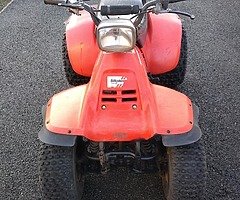 1984 Suzuki LT