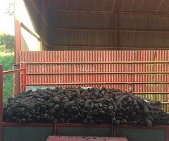Trailer loads of turf