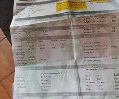 Citroen c4 - Image 9/9