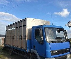 Daf livestock lorry