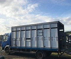 Daf livestock lorry - Image 3/4