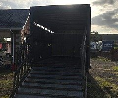 Daf livestock lorry - Image 4/4