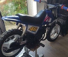 Pw50 px lt50