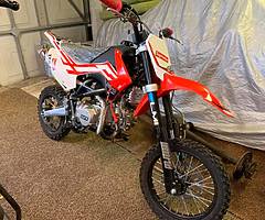 Kurz 2019 140cc pitbike
