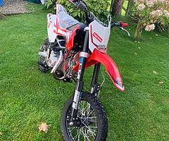 140cc 2019 Pitbike