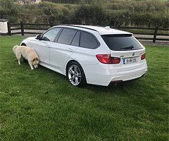 2015 bmw 320 xdrive estate - Image 9/9
