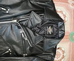 Harley Davison leather jacket