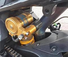 675 Daytona race/track - Image 7/10