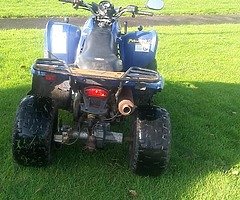 Ploaris quad - Image 3/5