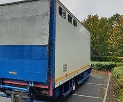 Iveco horsetruck