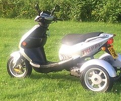 2010 Nippi Trippi