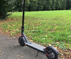 Xiaomi M365 Scooter
