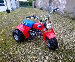 Honda atc 70 trike with 140cc engine.. Total animal of a thing