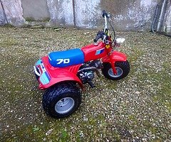 Honda atc 70 trike with 140cc engine.. Total animal of a thing