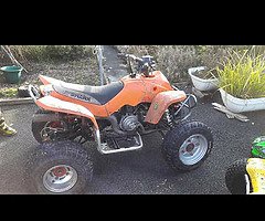 Pro shark 100cc liquid cooled