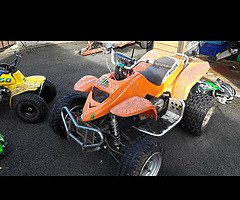 Pro shark 100cc liquid cooled