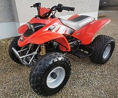 Quadzilla r100 - Image 4/4