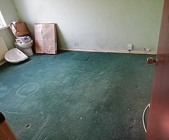 Man With Van / Gardening Services