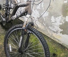 2 bikes avaliables to buy - Image 10/10