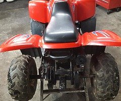 50cc dino