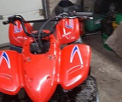 50cc dino - Image 4/4