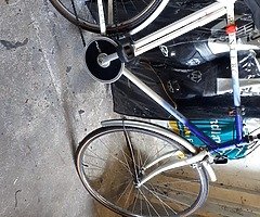 Mans bike