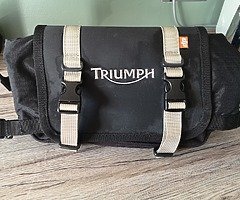 Triumph Waist Bag