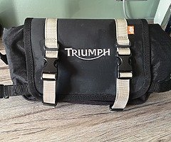 Triumph Waist Bag - Image 3/3