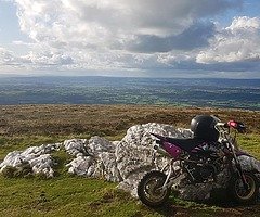 Skyteam pitbike 125cc - Image 4/4