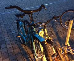 Lady’s Bike (light blue)