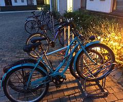 Lady’s Bike (light blue)