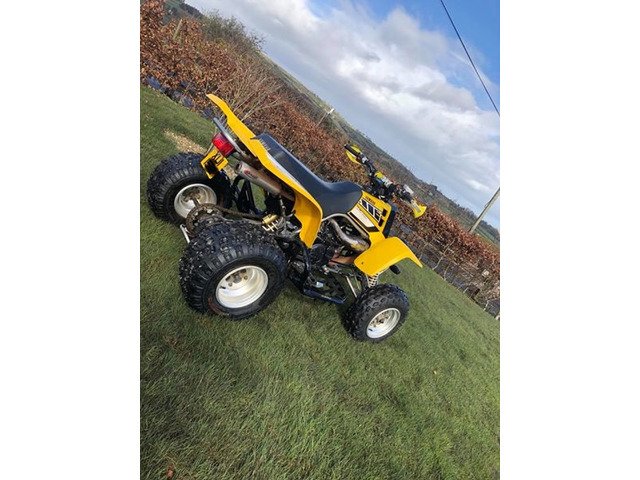 Yamaha Banshee Yellow 50th Anivarsary Model ❗️Road Registered❗️ - 2/8