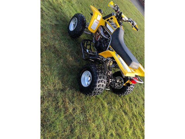 Yamaha Banshee Yellow 50th Anivarsary Model ❗️Road Registered❗️ - 3/8