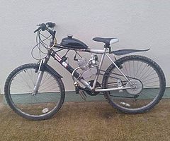 New Motorised Bicyles with Warranty - Image 4/5
