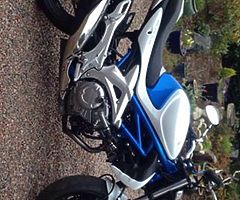 2009 Suzuki gladius 650