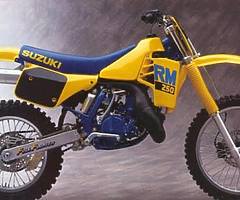 SUZUKI RM250 SLINGSHOT