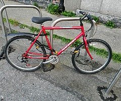 Bicycle