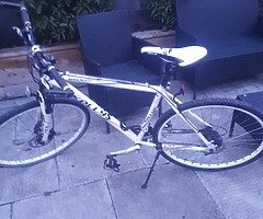 Kelly's hybrid bike