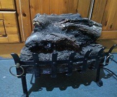 Electric fire inset