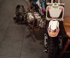 Semi auto pitbike