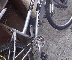 Bikes - Image 5/10