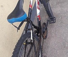 Bikes - Image 6/10