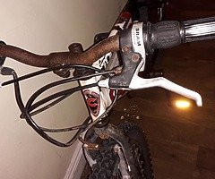 Bikes - Image 9/10