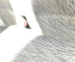 Daf 45.140 Box lorry - Image 8/9