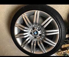19 inch Spyder wanted