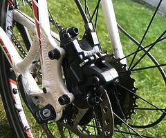 Specialized MTB - Image 8/9