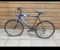 Vendor Bike